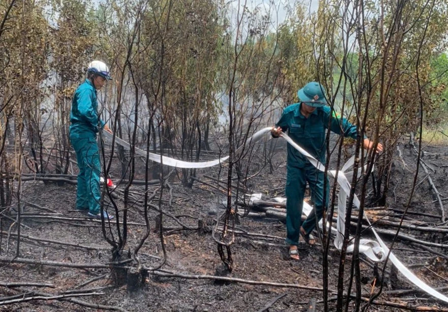 vụ cháy rừng 1.jpg