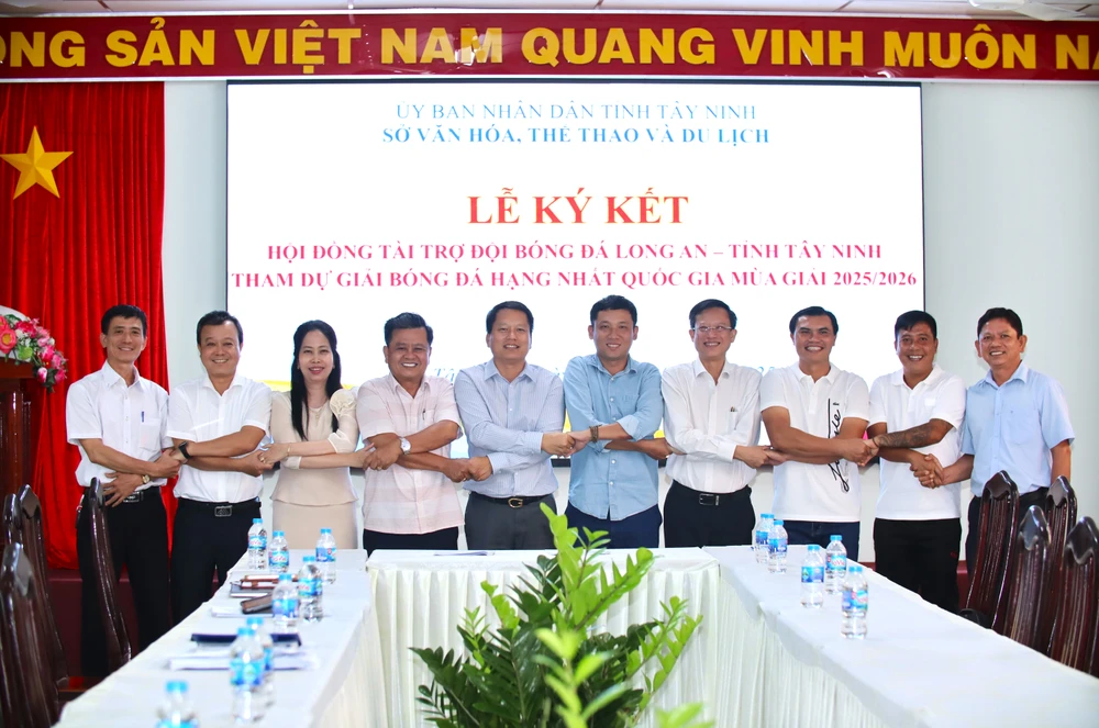 bóng đá Long An (4).JPG