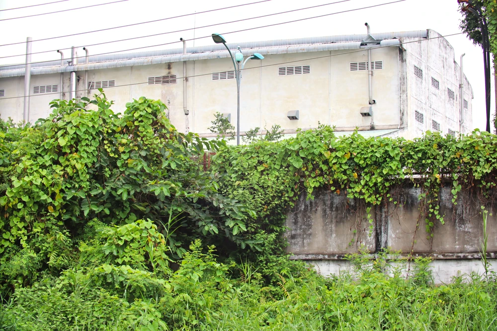 Nhà máy bột giấy Phương Nam 18.JPG