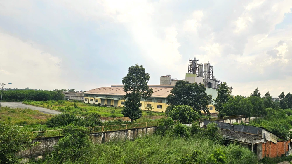 Nhà máy bột giấy Phương Nam 20.jpg