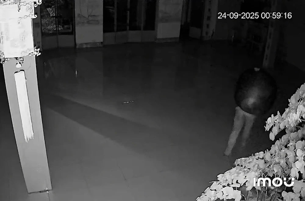 trộm chuông chùa.jpg