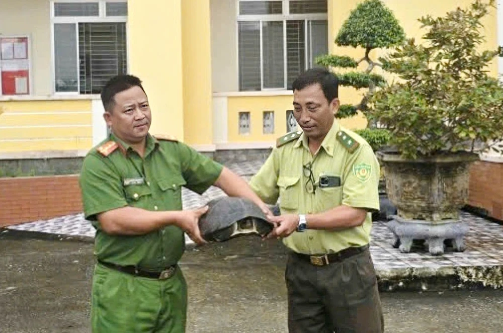 rùa Răng quý hiếm.jpeg