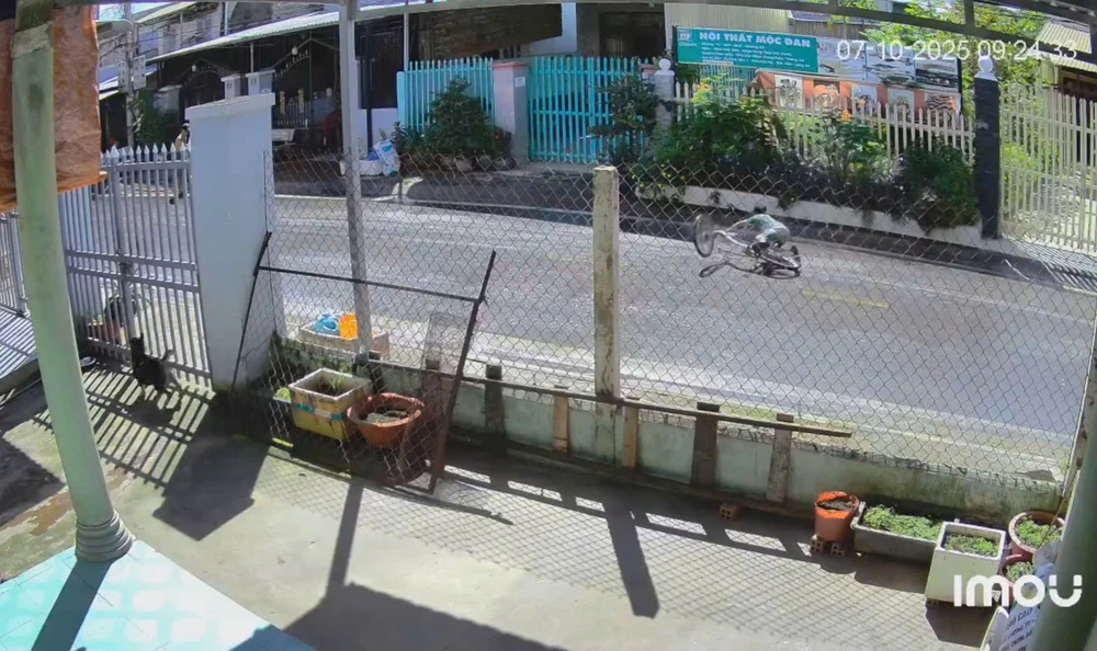 Bé trai 11 tuổi 1.jpg