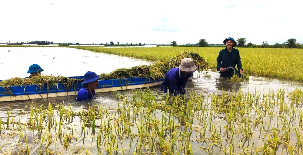 dân quân Tây Ninh 10.jpeg.jpg