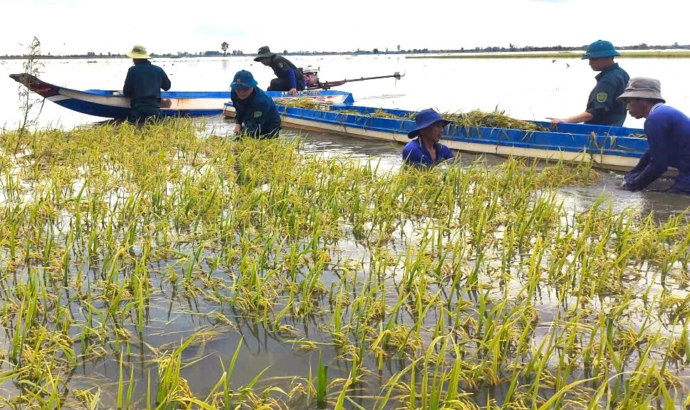 dân quân Tây Ninh 11.jpeg.jpg