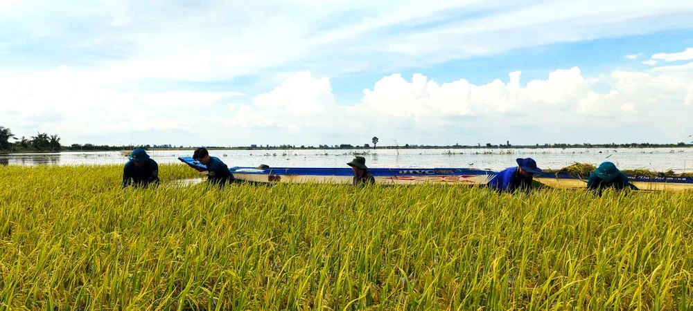 dân quân Tây Ninh 7.jpeg.jpg