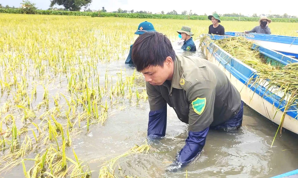 dân quân Tây Ninh 8.jpeg.jpg