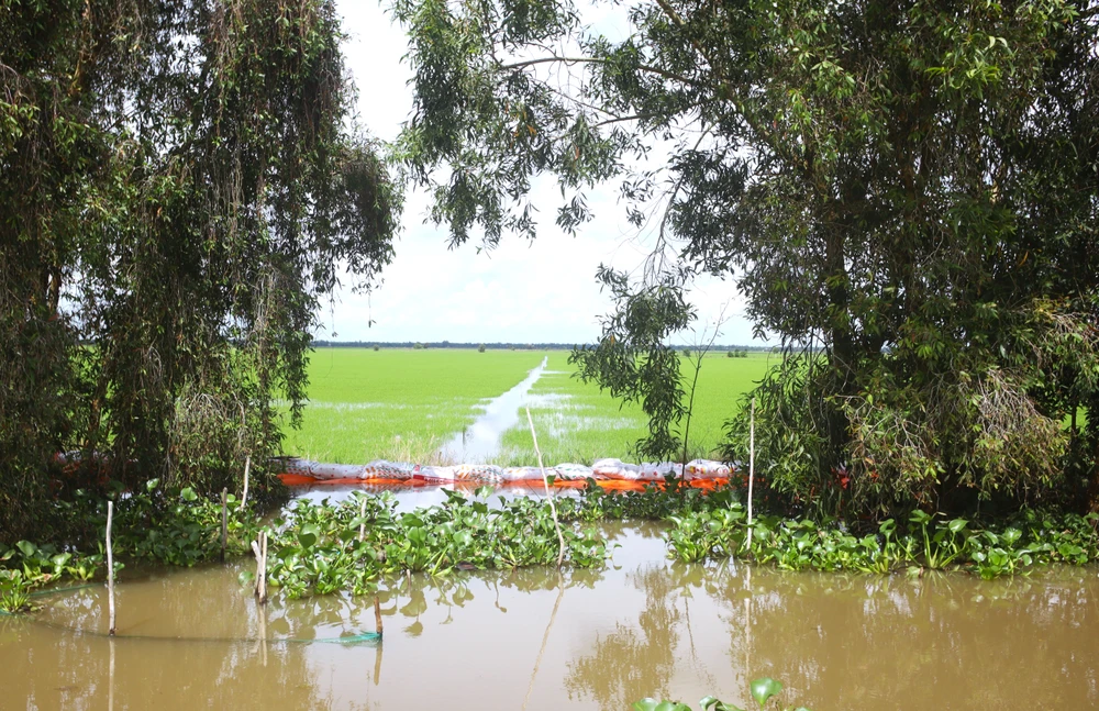 Đồng Tháp Mười 11.JPG