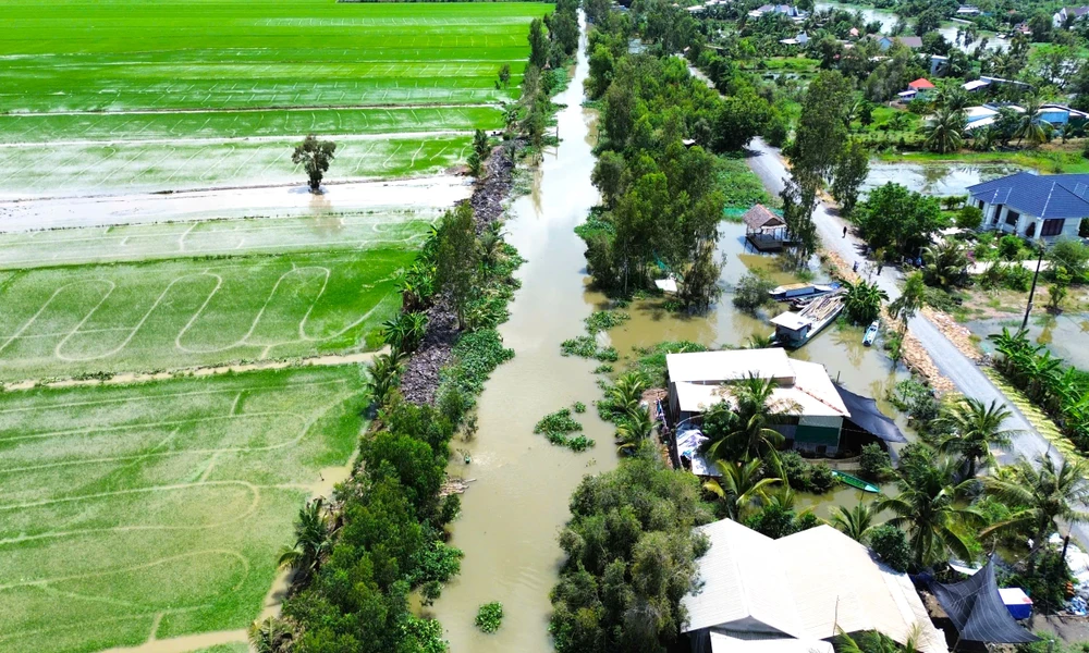 Đồng Tháp Mười 12.jpg