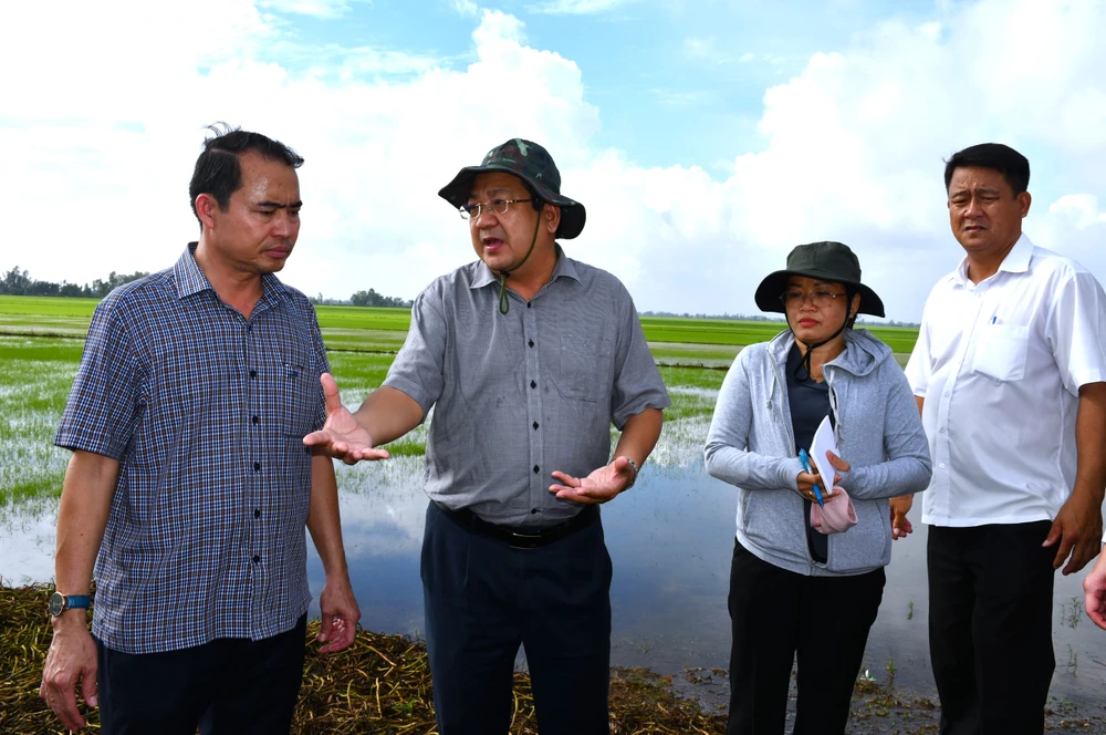 Đồng Tháp Mười 14.JPG