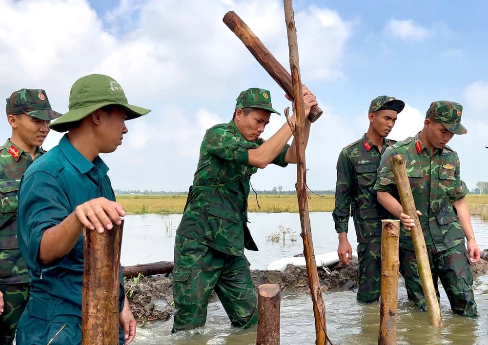 Đồng Tháp Mười 16.jpg