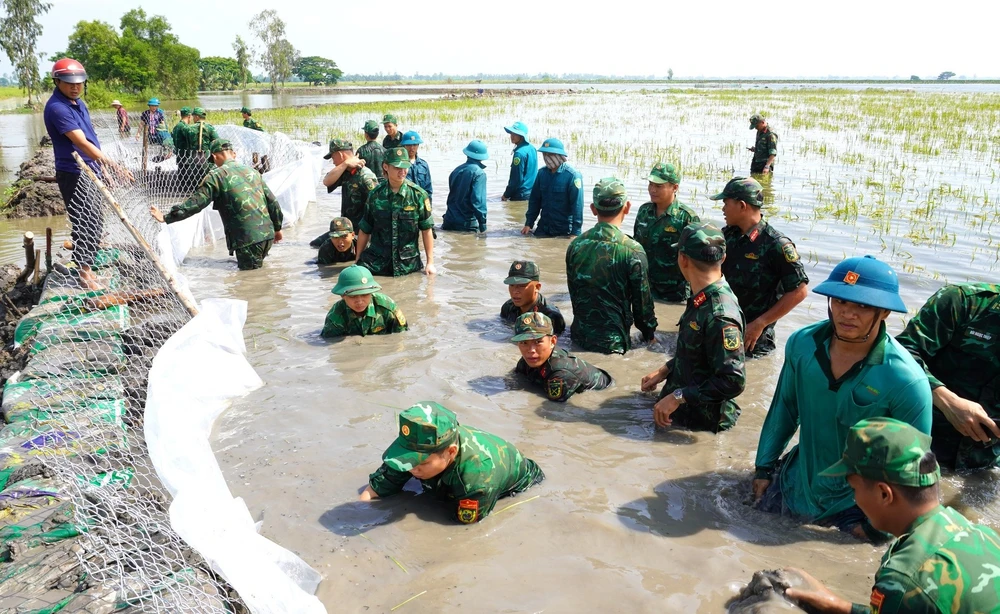 Đồng Tháp Mười 17.jpg