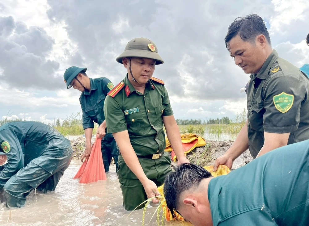 Đồng Tháp Mười 18.JPG.jpeg