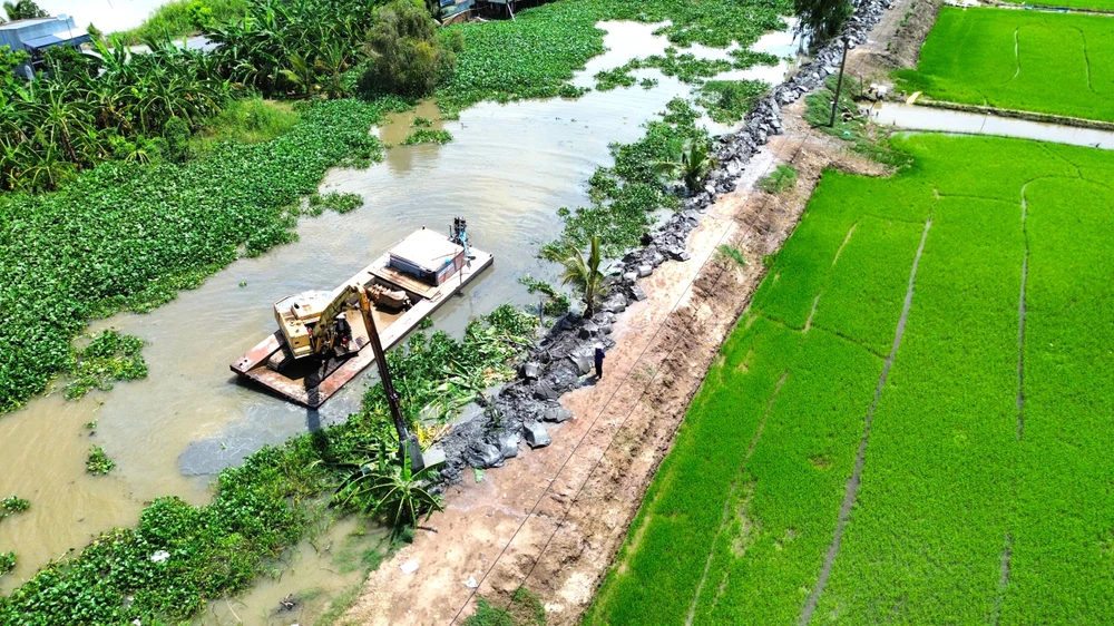 Đồng Tháp Mười 3.jpg