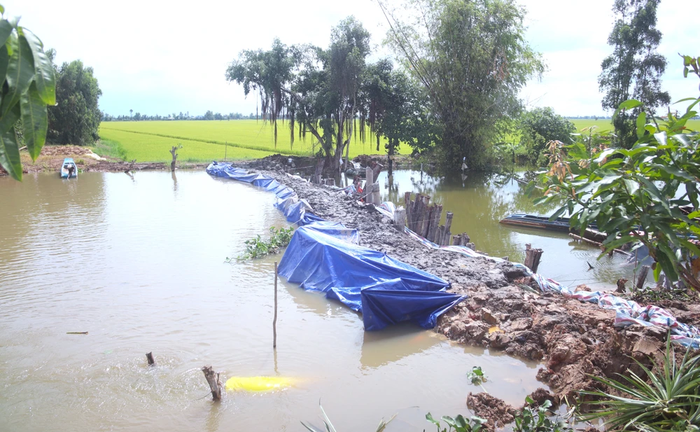 Đồng Tháp Mười 6.JPG