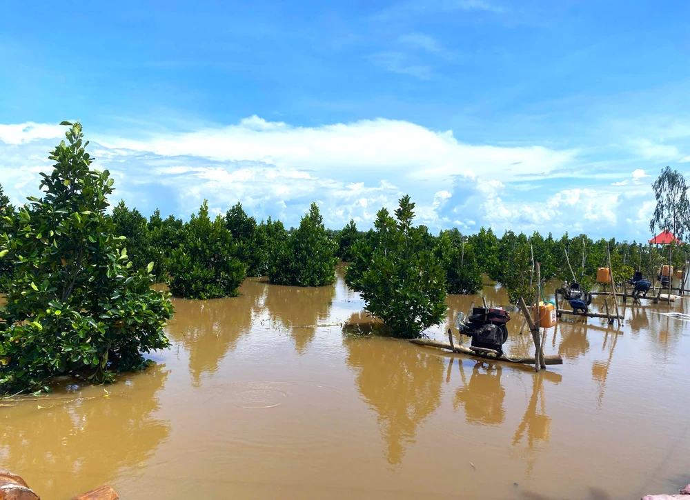 Đồng Tháp Mười 8.jpg