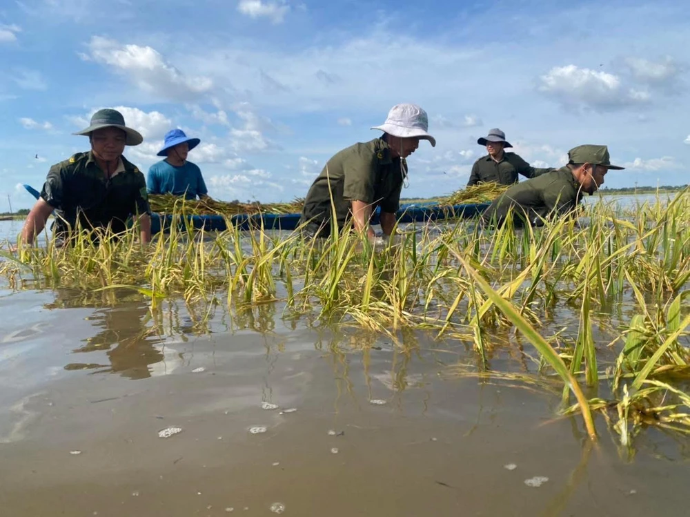 Ngập sâu ở Tây Ninh