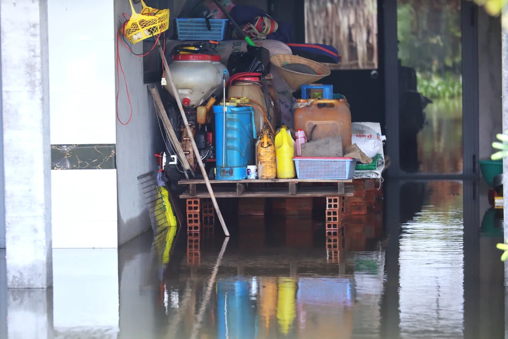 Đồng Tháp Mười 10.JPG