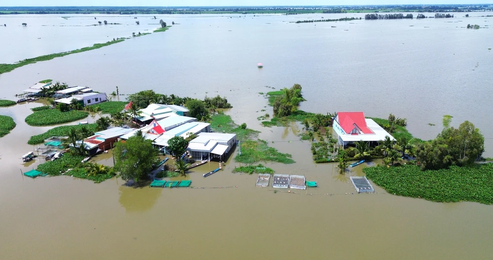 Đồng Tháp Mười 12.JPG