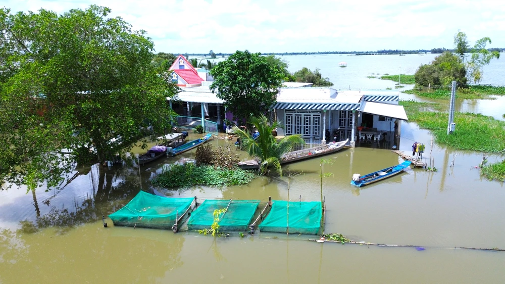 Đồng Tháp Mười 13.JPG