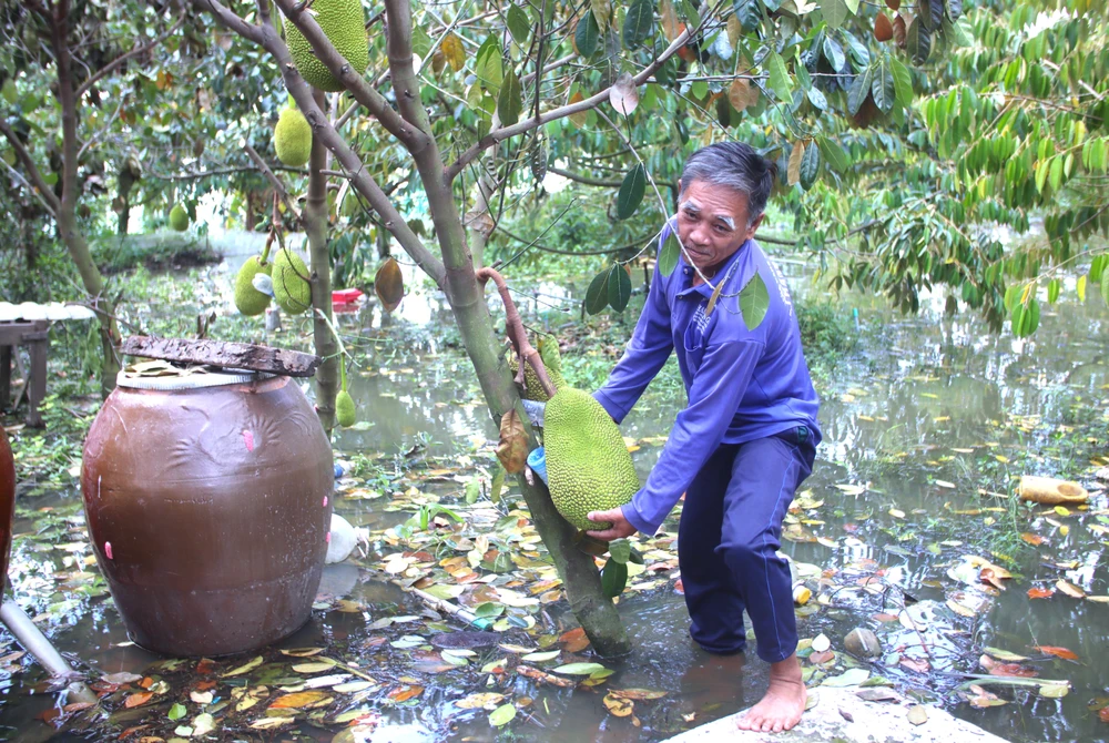 Đồng Tháp Mười 18.JPG