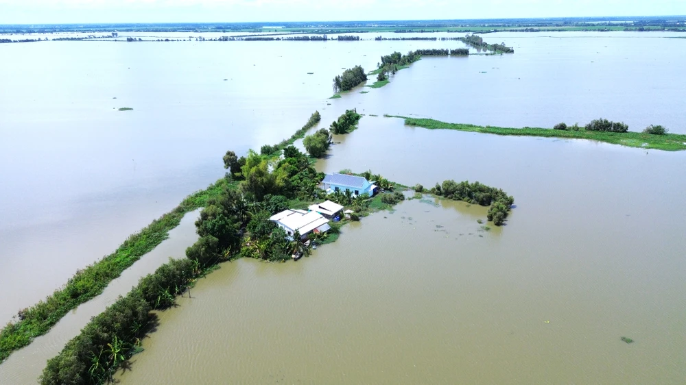 Đồng Tháp Mười 19.JPG