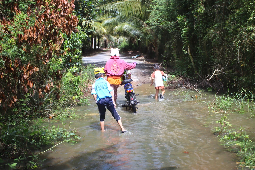 Đồng Tháp Mười 20.JPG