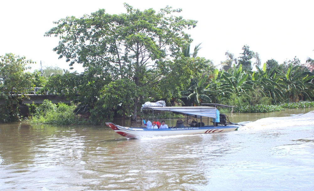 Đồng Tháp Mười 23.JPG