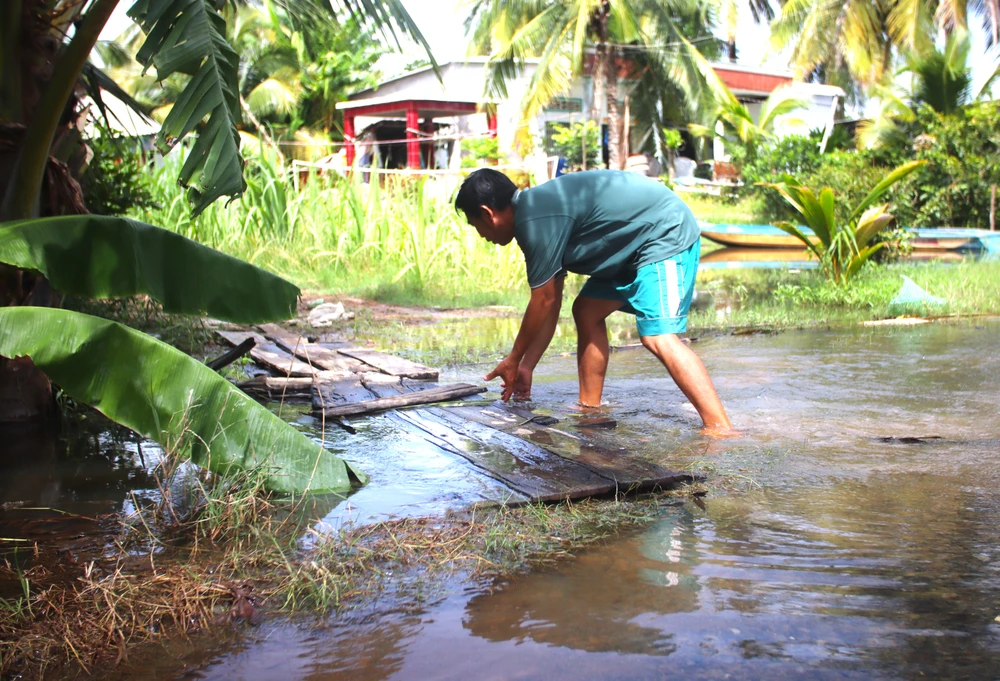 Đồng Tháp Mười 3.JPG