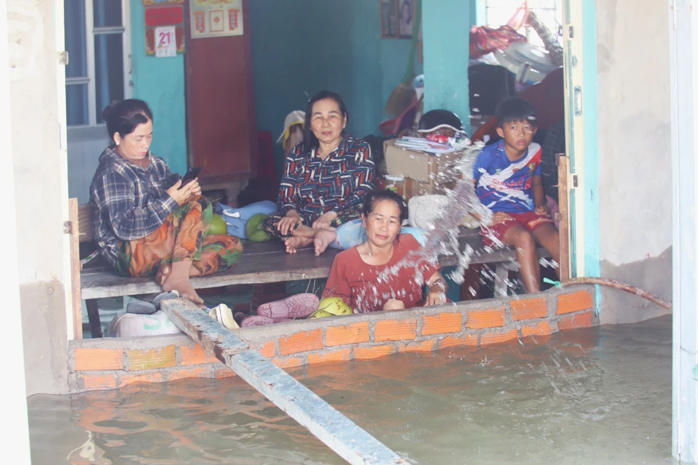 Đồng Tháp Mười 4.JPG