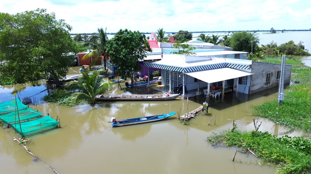 Đồng Tháp Mười 2.JPG