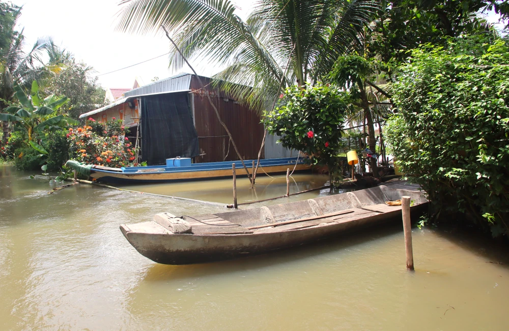 Đồng Tháp Mười 3.JPG