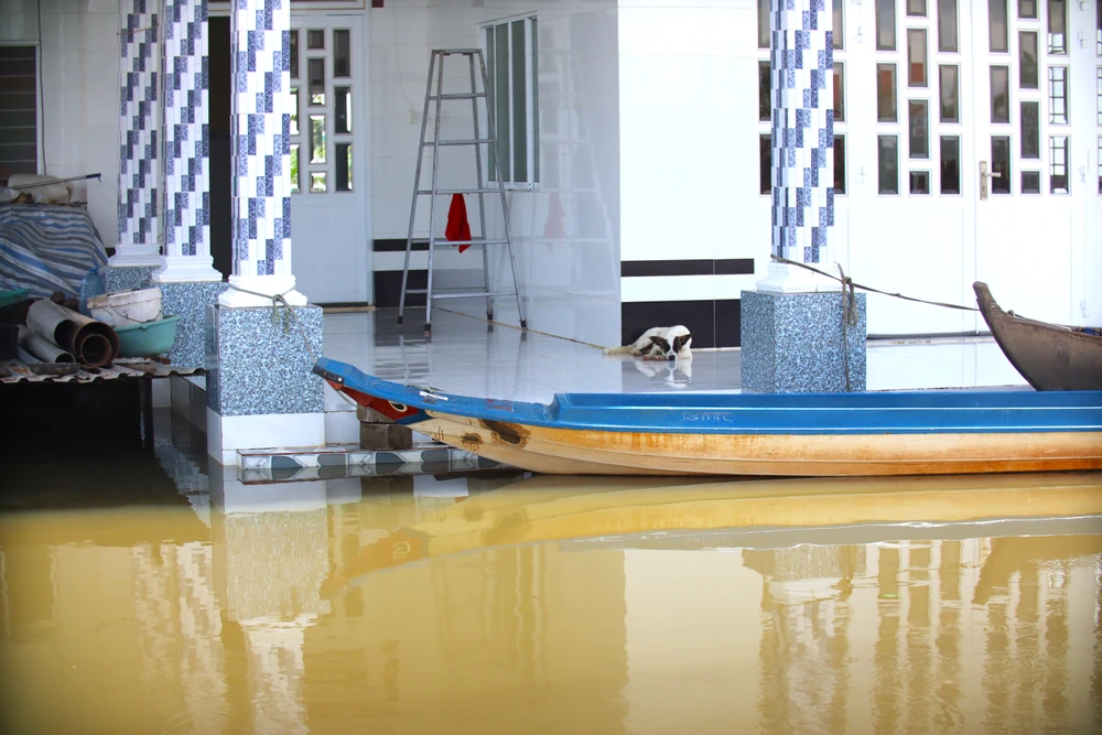 Đồng Tháp Mười 5.JPG