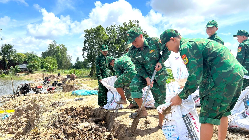 Đồng Tháp Mười 7.jpg