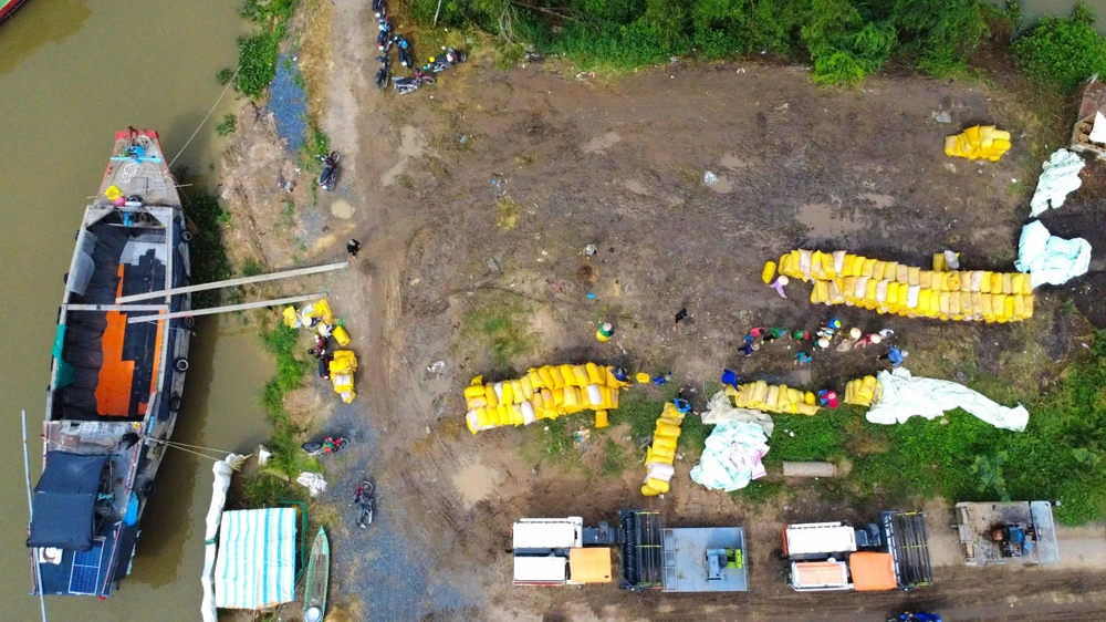 thu hoạch lúa 7.jpg