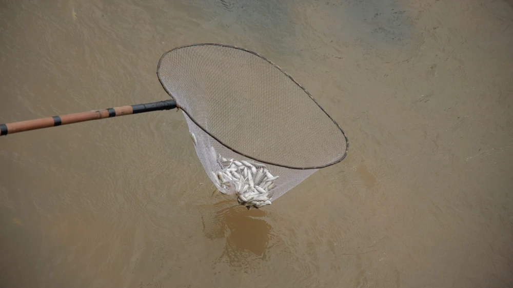 Cống Tha La (3).jpg