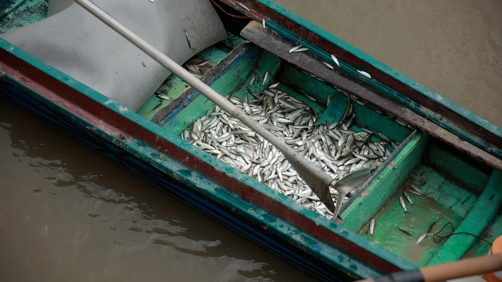 Cống Tha La (4).jpg