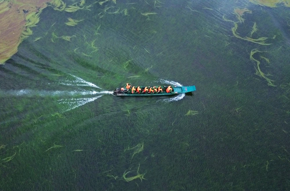 Mùa nước nổi 3.JPG