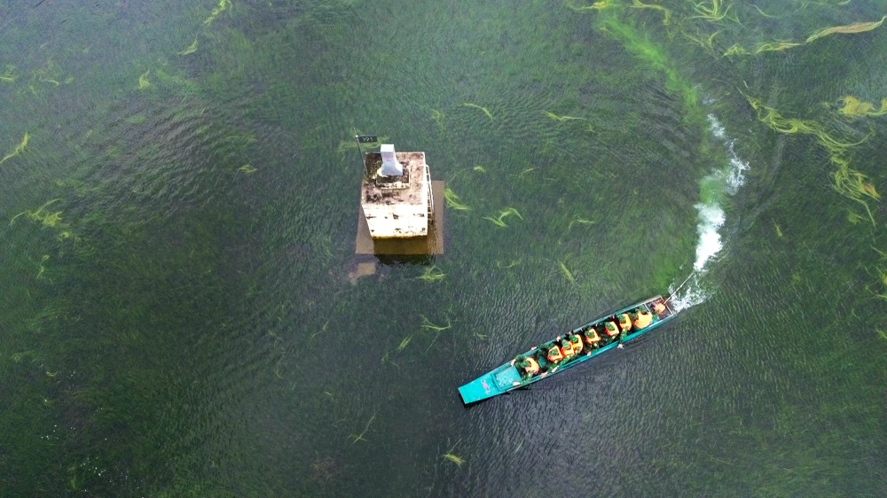 Mùa nước nổi 4.JPG