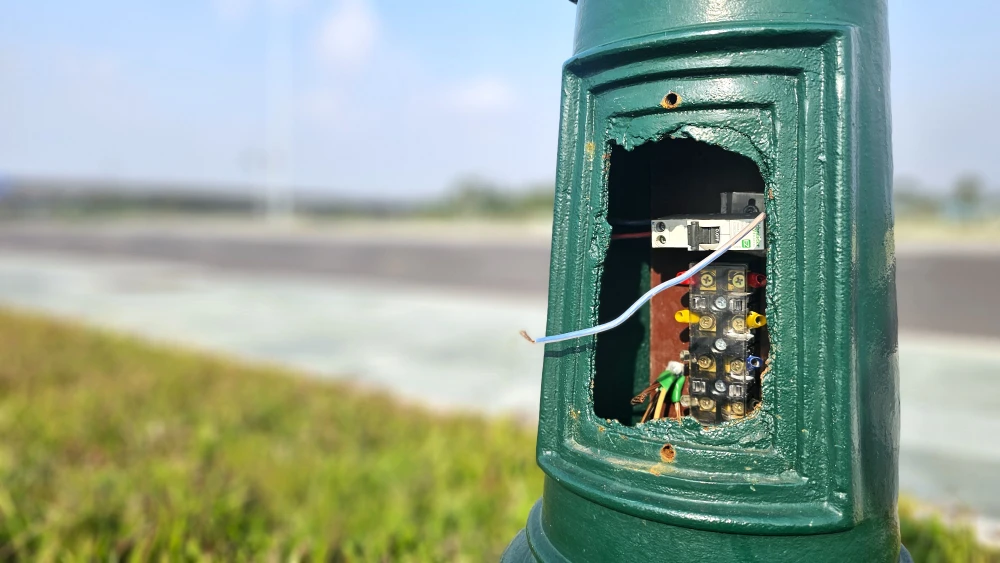 sông Vàm Cỏ Tây 3.jpg