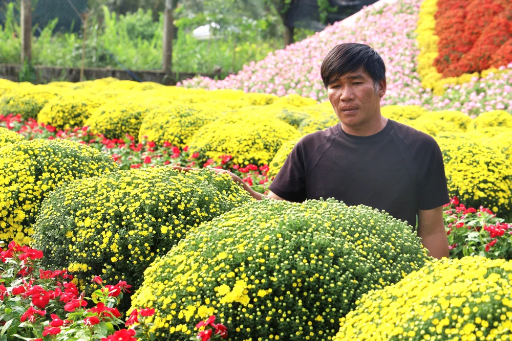 Cúc mâm xôi 10.JPG