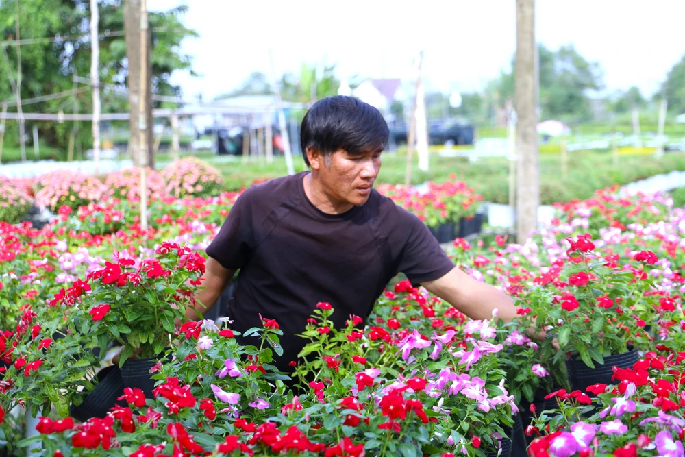 Làng hoa Sa Đéc 11.JPG