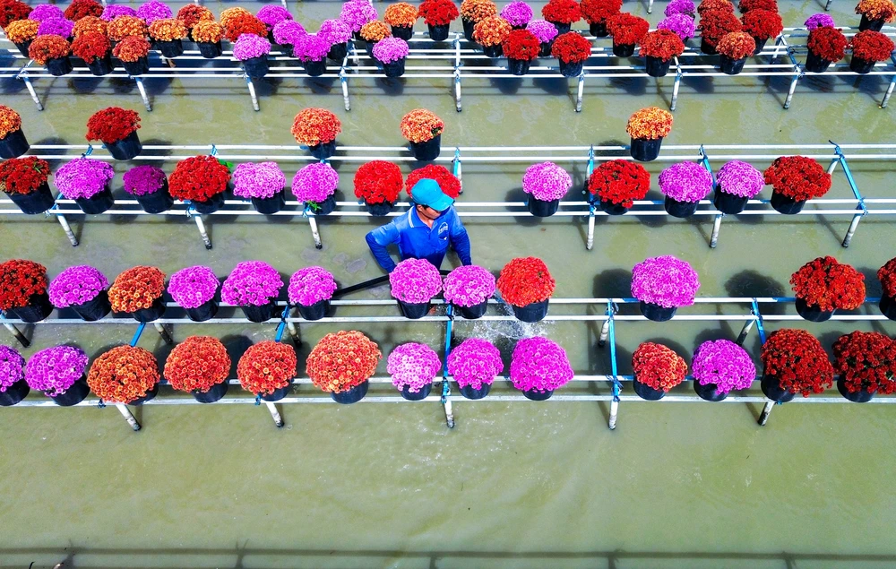 làm đẹp hoa 10.jpg