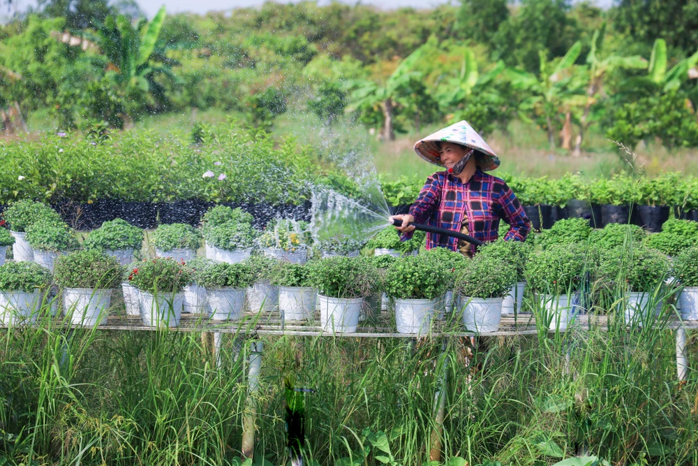 làm đẹp hoa 2.jpg