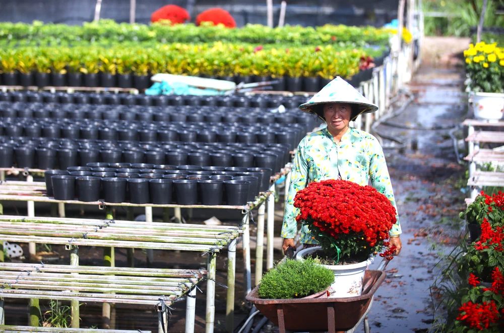 làm đẹp hoa 7.JPG