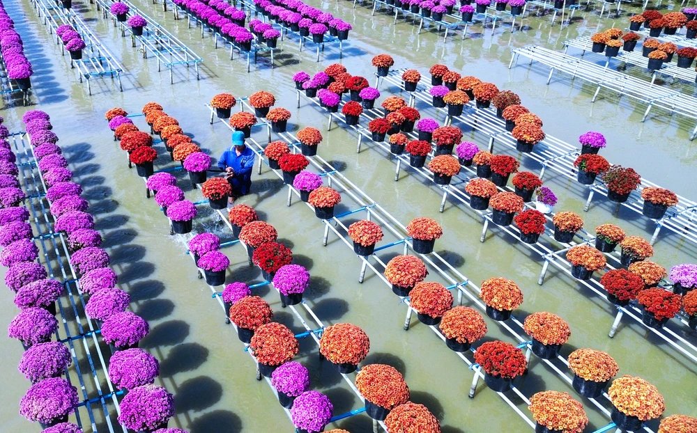 làm đẹp hoa 9.jpg