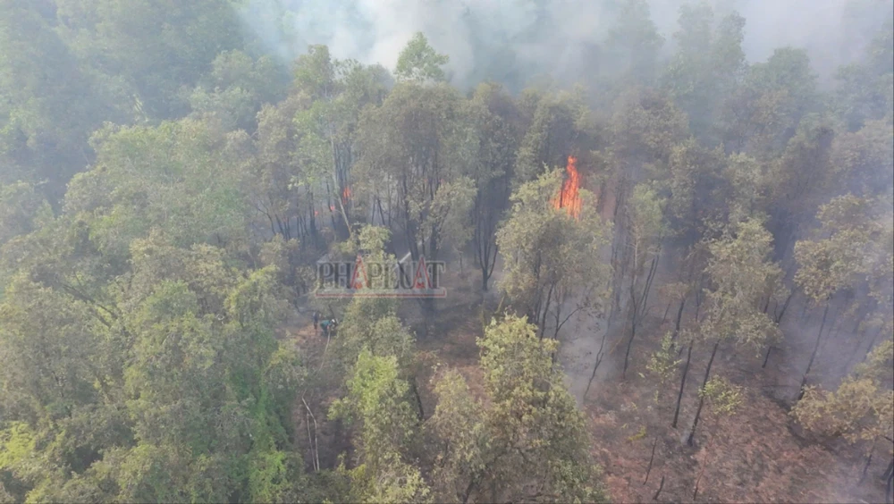 Cháy rừng.jpg
