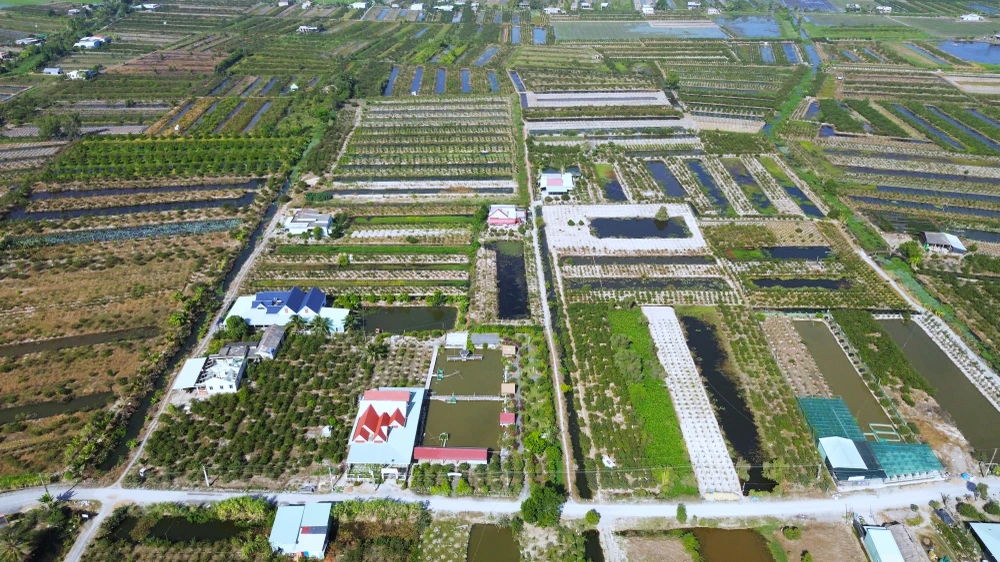 làng mai Tân Tây 1.JPG