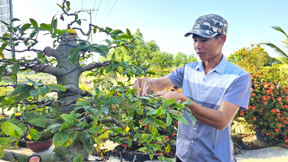 làng mai Tân Tây 2.jpg