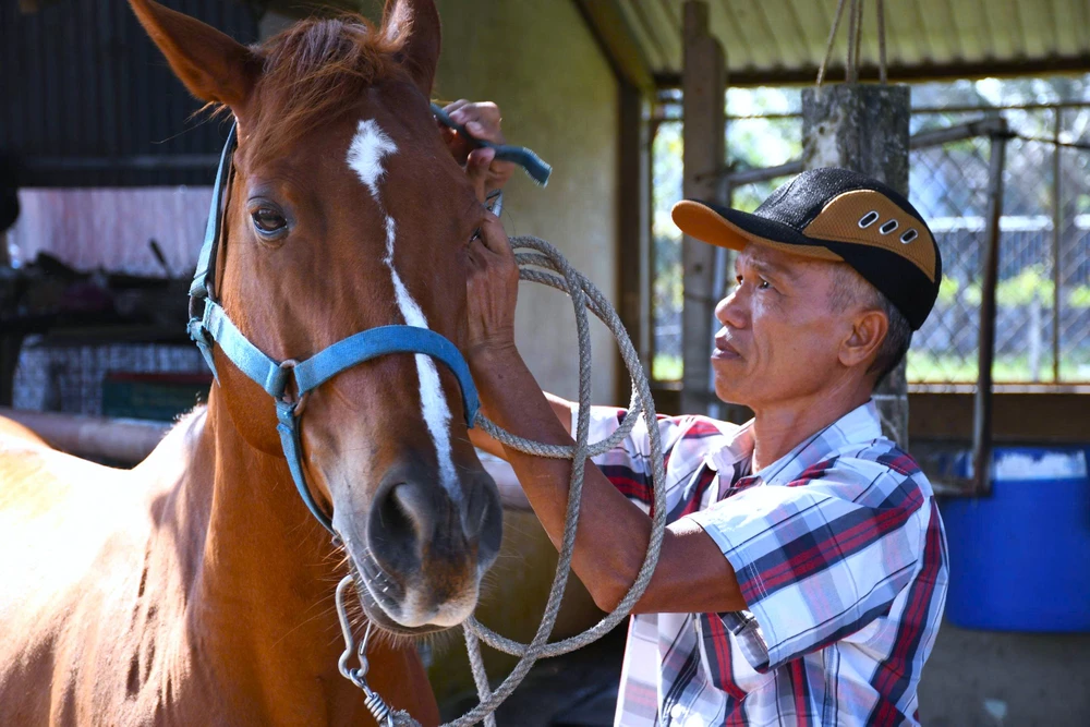 Ngựa Đức Hòa 4.jpg